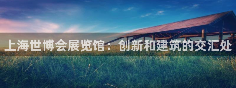 果博公司会员注册账号：上海世博会展览馆：创新和建筑的交汇处