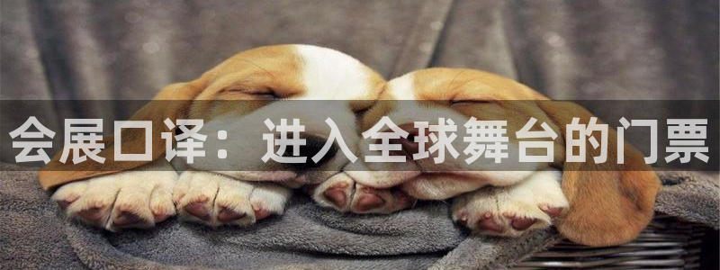 果博平台真实吗安全吗可靠吗：会展口译：进入全球舞台的门票