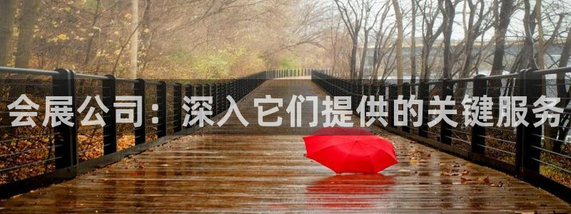 果博集团：会展公司：深入它们提供的关键服务