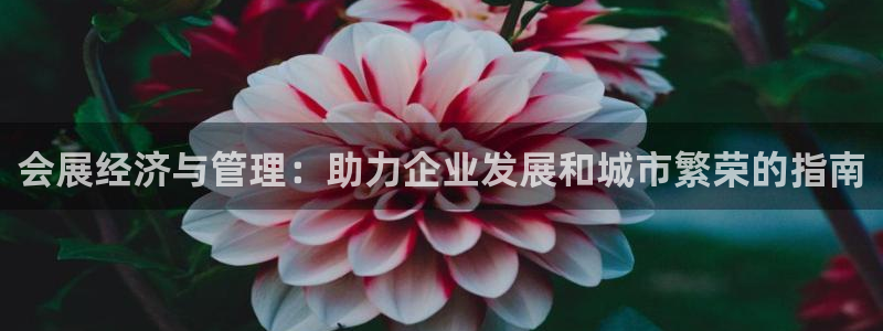 果博手机下载网址：会展经济与管理：助力企业发展和城市繁荣的指南