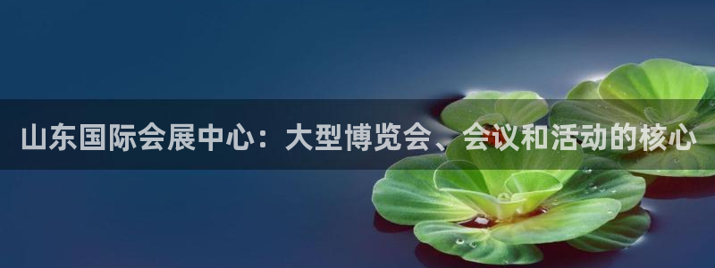 果博公司会员注册账号开户