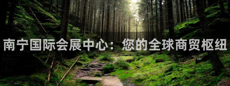 果博注册：南宁国际会展中心：您的全球商贸枢纽
