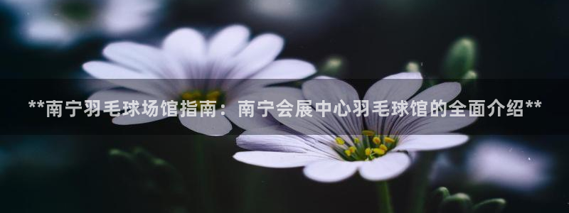 果博公司会员怎么开户：**南宁羽毛球场馆指南：南宁会展中心羽毛球馆的全面介绍**