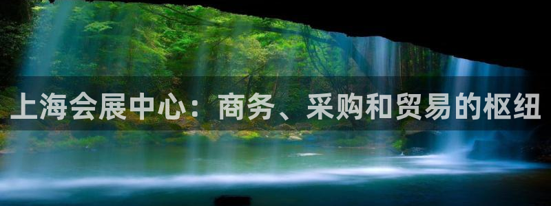果博平台真实吗安全吗是真的吗：上海会展中心：商务、采购和贸易的枢纽