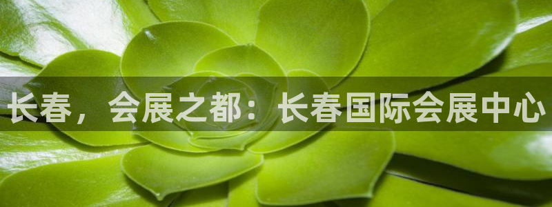 果博公司注册：长春，会展之都：长春国际会