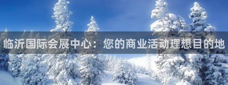 果博公司游戏网址：临沂国际会展中心：您的商业活动理想目的地