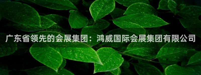 下载果博博东方下载：广东省领先的会展集团：鸿威国际会展集团有限公司