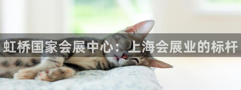 果博平台怎么下载?：虹桥国家会展中心：上海会展业的标杆