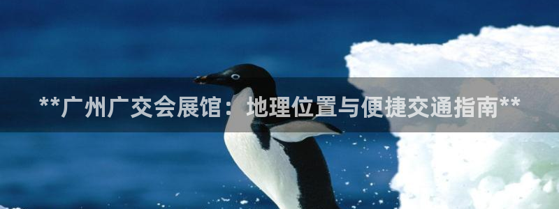 苹果电脑可以下载博易大师吗：**广州广交会展馆：地理位置与便捷交通指南**