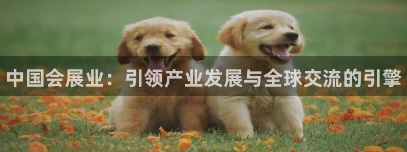 果博官网客服电话号码查询：中国会展业：引领产业发展与全球交流的引擎