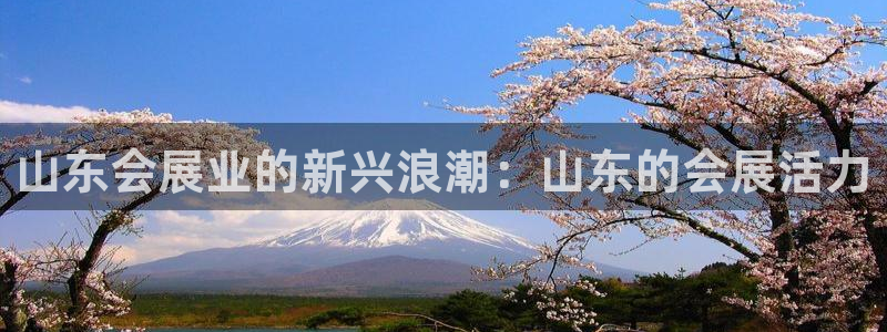 苹果手机能下载果博吗：山东会展业的新兴浪潮：山东的会展活力