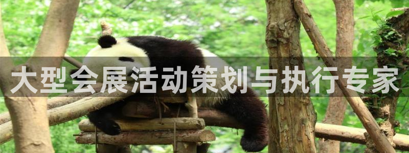 果博东官方网站怎么下载：大型会展活动策划与执行专家
