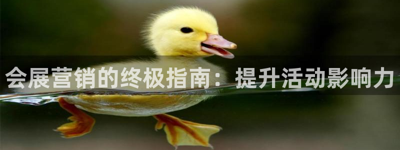 果博代理网：会展营销的终极指南：提升活动影响力