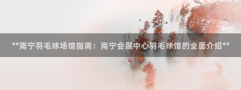 果博平台开户电话：**南宁羽毛球场馆指南：南宁会展中心羽毛球馆的全面介绍**