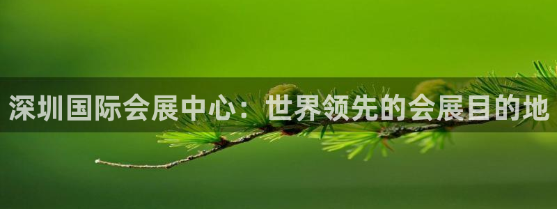 果博平台真实吗安全吗可信吗：深圳国际会展中心：世界领先的会展目的地