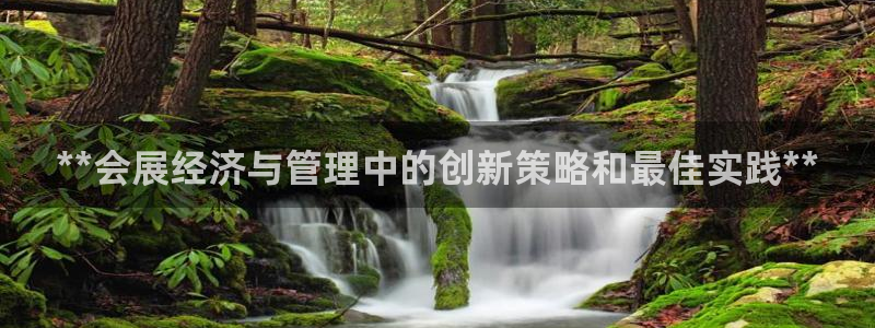 果博是怎么登录的：**会展经济与管理中的创新策略和最佳实践**