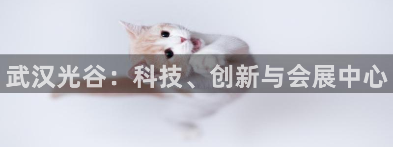 果博注册链接：武汉光谷：科技、创新与会展中心
