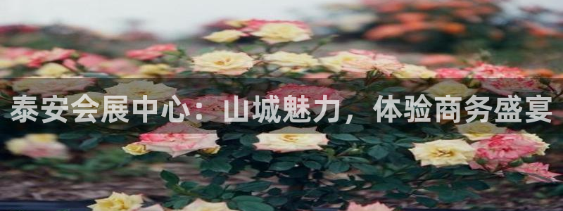 苹果手机能下载果博吗：泰安会展中心：山城