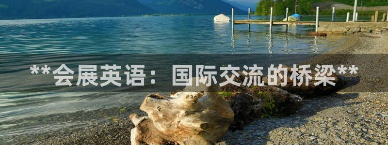 苹果电脑可以下载博易大师吗：**会展英语：国际交流的桥梁**
