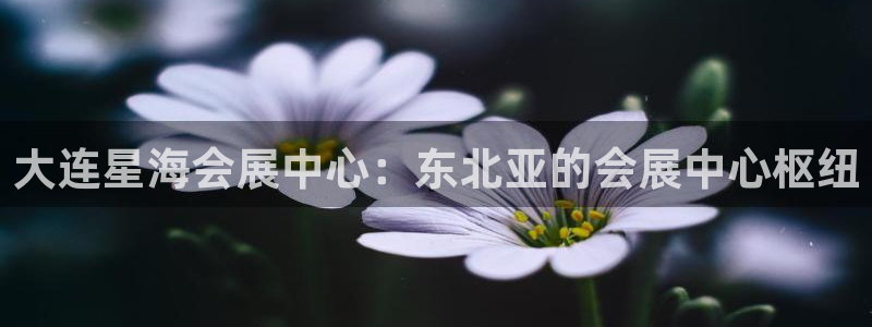 果博平台真实吗知乎推荐：大连星海会展中心：东北亚的会展中心枢纽