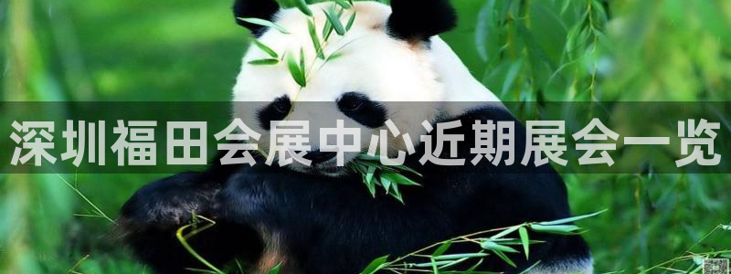 果博真人：深圳福田会展中心近期展会一览