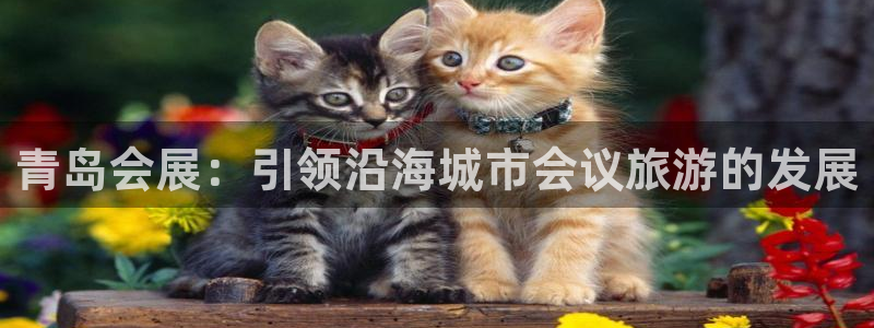 果博平台怎么下载?：青岛会展：引领沿海城市会议旅游的发展