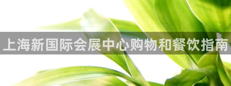 果博平台苹果电脑怎么下载：上海新国际会展中心购物和餐饮指南