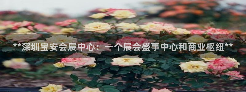 果博注册客服电话号码是多少：**深圳宝安会展中心：一个展会盛事中心和商业枢纽**