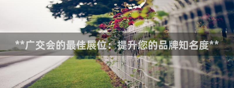 果博官方热线：**广交会的最佳展位：提升您的品牌知名度**