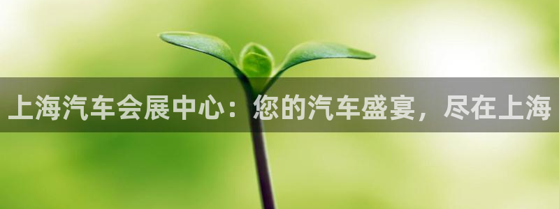 果博公司客服联系方式：上海汽车会展中心：您的汽车盛宴，尽在上海
