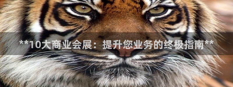 电脑怎么下载果考网：**10大商业会展：提升您业务的终极指南**