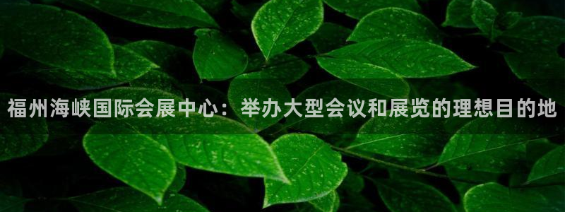 果博公司客服电话多少：福州海峡国际会展中心：举办大型会议和展览的理想目的地