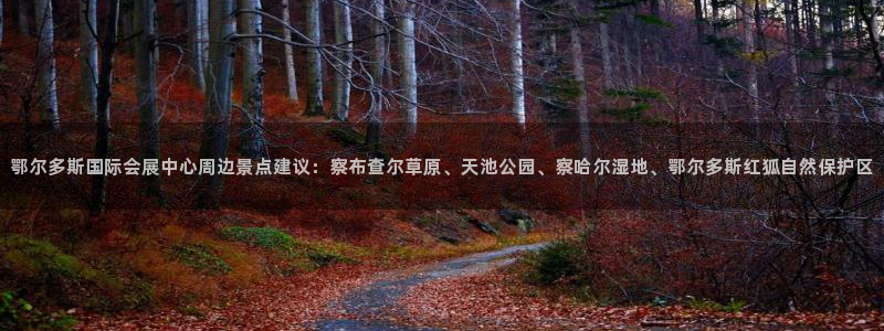 果博官方网：鄂尔多斯国际会展中心周边景点建议：察布查尔草原、天池公园、察哈尔湿地、鄂尔多斯红狐自然保护区