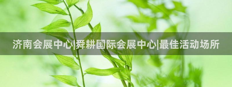 果博公司上分客服