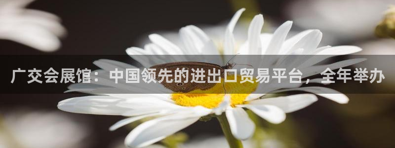 果博注册充值怎么充：广交会展馆：中国领先的进出口贸易平台，全年举办