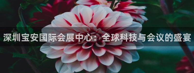 果博账号注册要钱吗：深圳宝安国际会展中心：全球科技与会议的盛宴
