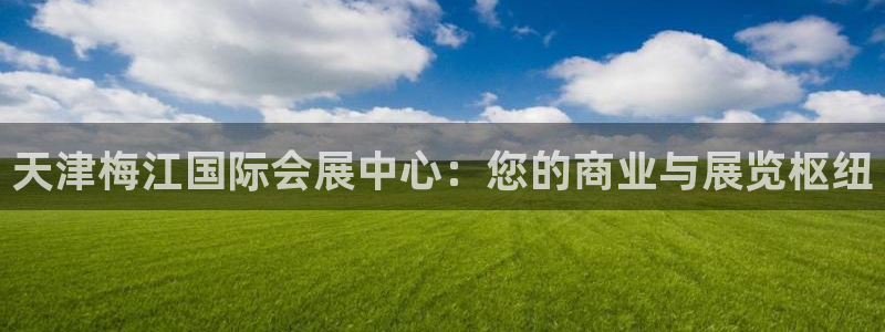 果博平台真实吗安全吗：天津梅江国际会展中心：您的商业与展览枢纽