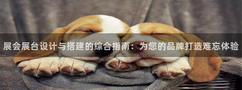 果博注册会员多少钱：展会展台设计与搭建的综合指南：为您的品牌打造难忘体验