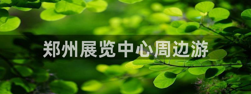 果博公司会员注册账号：郑州展览中心周边游