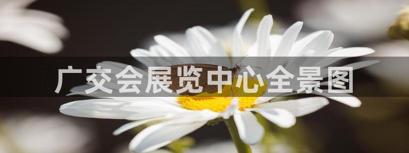 果博公司会员注册账号开户：广交会展览中心全景图