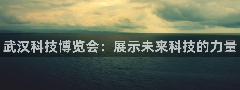 果博上分电话：武汉科技博览会：展示未来科技的力量