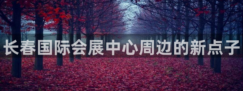 果博平台真实吗知乎推荐：长春国际会展中心周边的新点子