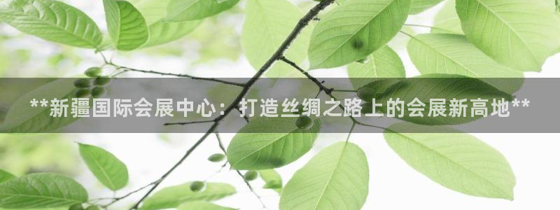果博gbe168：**新疆国际会展中心：打造丝绸之路上的会展新高地**
