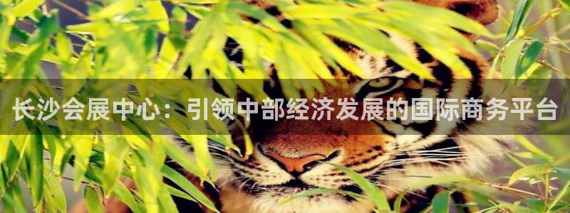 果博是怎么登录的：长沙会展中心：引领中部经济发展的国际商务平台
