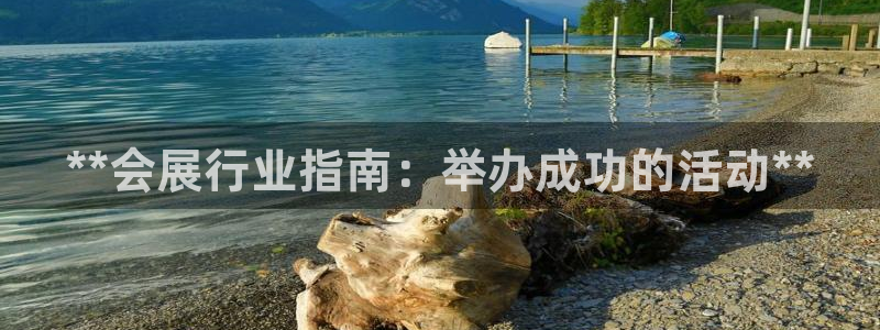 果博平台客服：**会展行业指南：举办成功的活动**