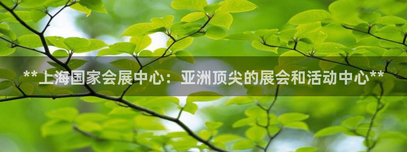 果博平台电话：**上海国家会展中心：亚洲顶尖的展会和活动中心**