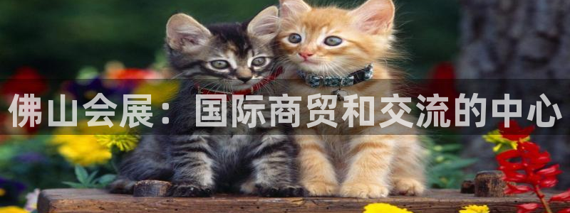 果博是怎么登录的：佛山会展：国际商贸和交流的中心