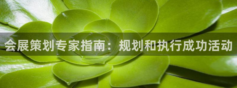 果博公司客服怎么样：会展策划专家指南：规划和执行成功活动