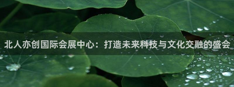 果博注册客服电话是多少号码：北人亦创国际会展中心：打造未来科技与文化交融的盛会