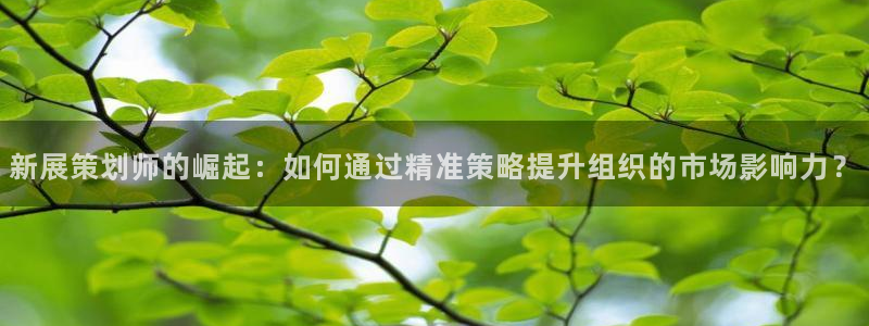 果博电话：新展策划师的崛起：如何通过精准